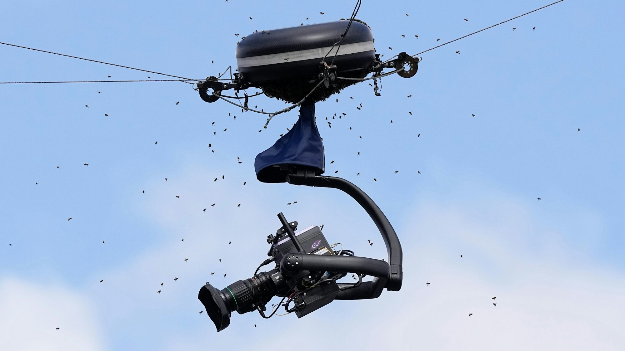 Bienen umschwirren eine Kamera während eines Tennisspiels. Sie attackierten auch Tennis-Spieler Carlos Alcaraz.