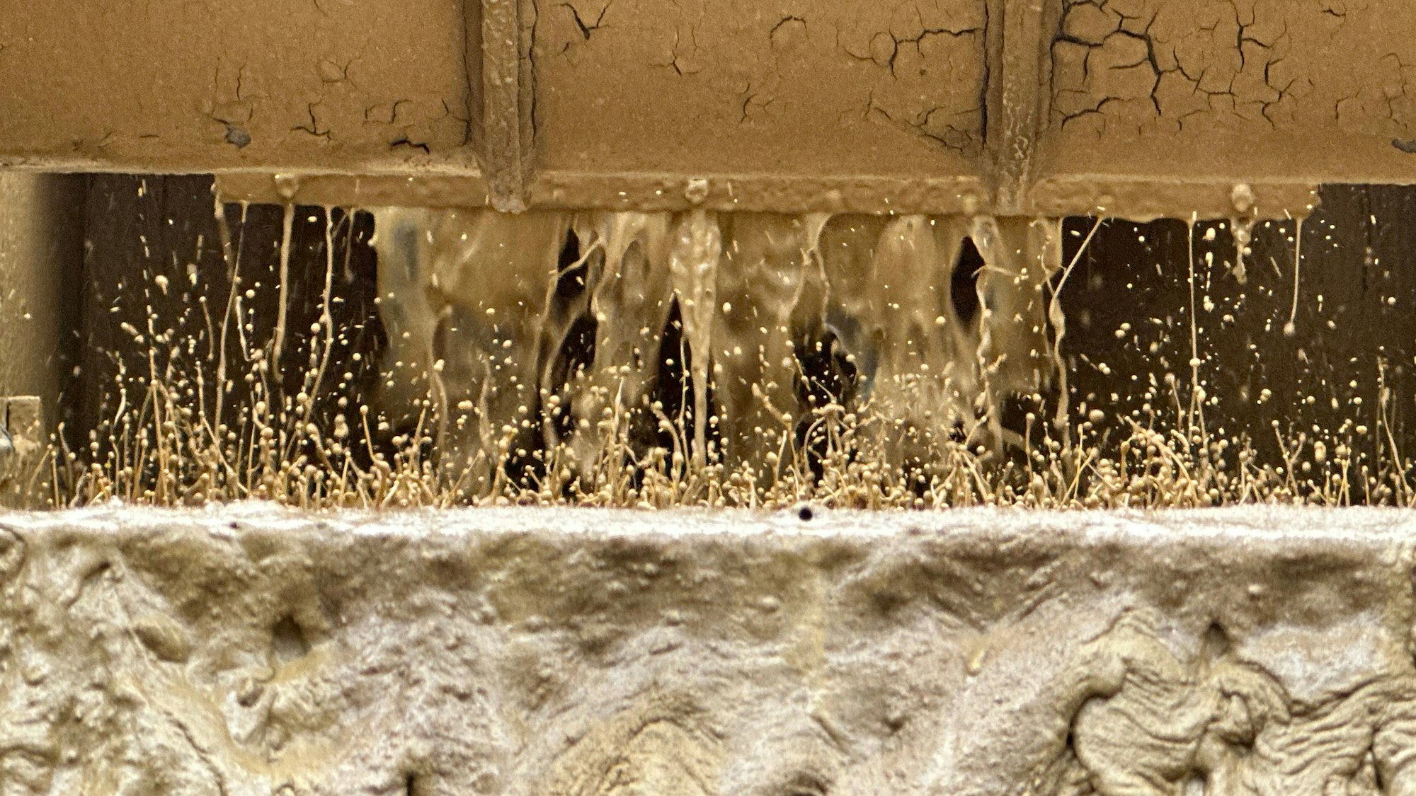 Das ausgespülte Erdreich wird vom Wasser getrennt und kann dann wieder verwendet werden.