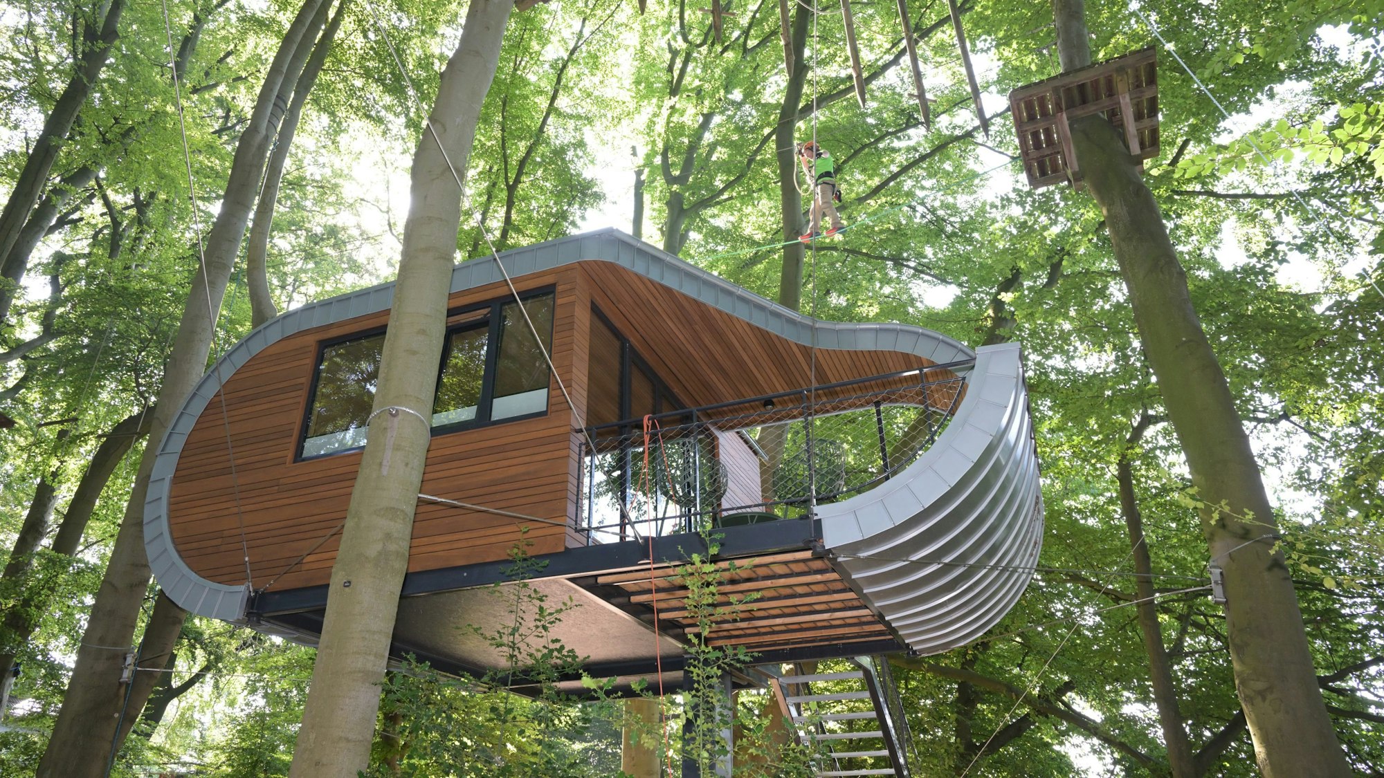 Ein Baumhaus hängt wie ein Schlitten an alten Buchen.