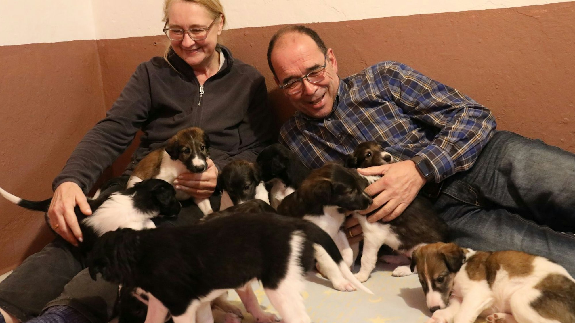 Eine Frau und ein Mann liegen mit zahlreichen Hundewelpen auf dem Fußboden.