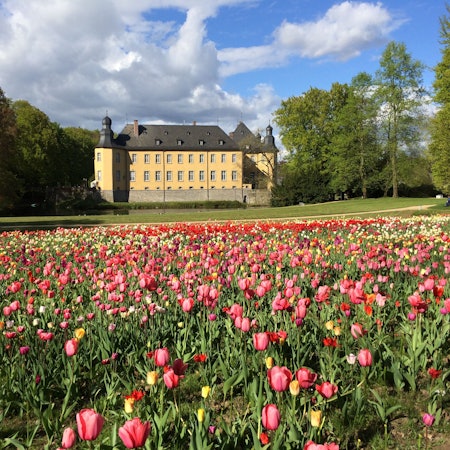 Frühling auf Schloss Dyck