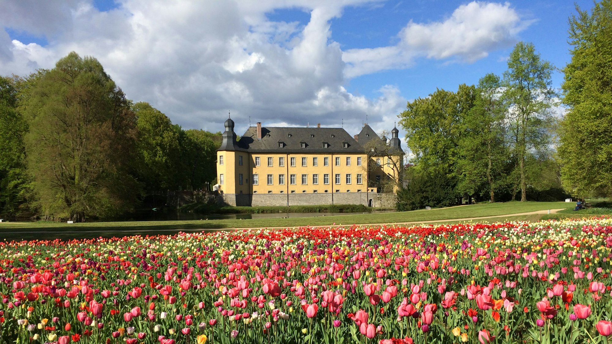 Frühling auf Schloss Dyck