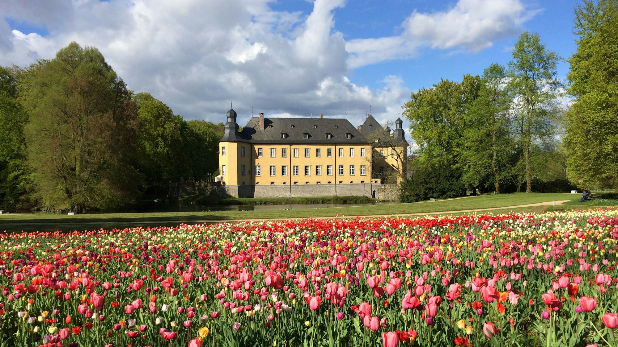 Frühling auf Schloss Dyck.