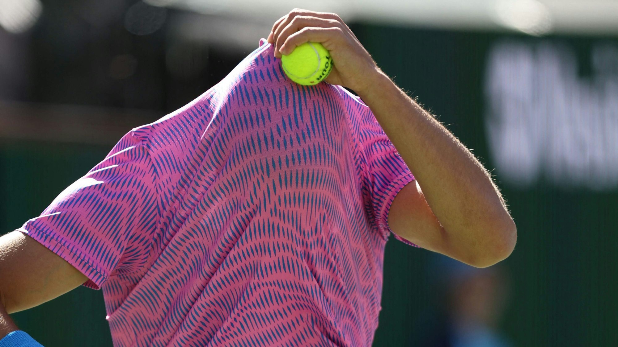 Angst vor Bienen: Carlos Alcaraz schützt sein Gesicht vor den Insekten, nachdem diese plötzlich den Centre Court in Indian Wells erobert hatten.
