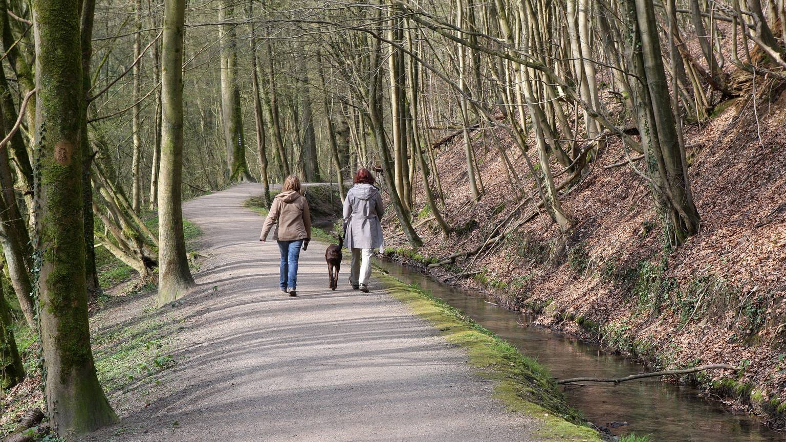 Spaziergängerinnen gehen auf dem Strundeweg im Strundetal bei Bergisch Gladbach.