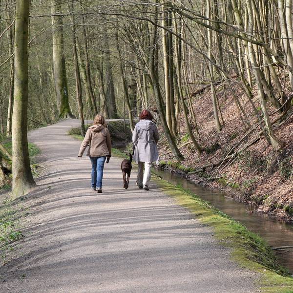 Zwei Frauen gehen mit einem Hund an der Leine auf dem Strundeweg spazieren.