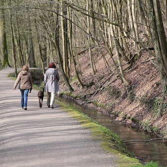 Zwei Frauen gehen mit einem Hund an der Leine auf dem Strundeweg spazieren.
