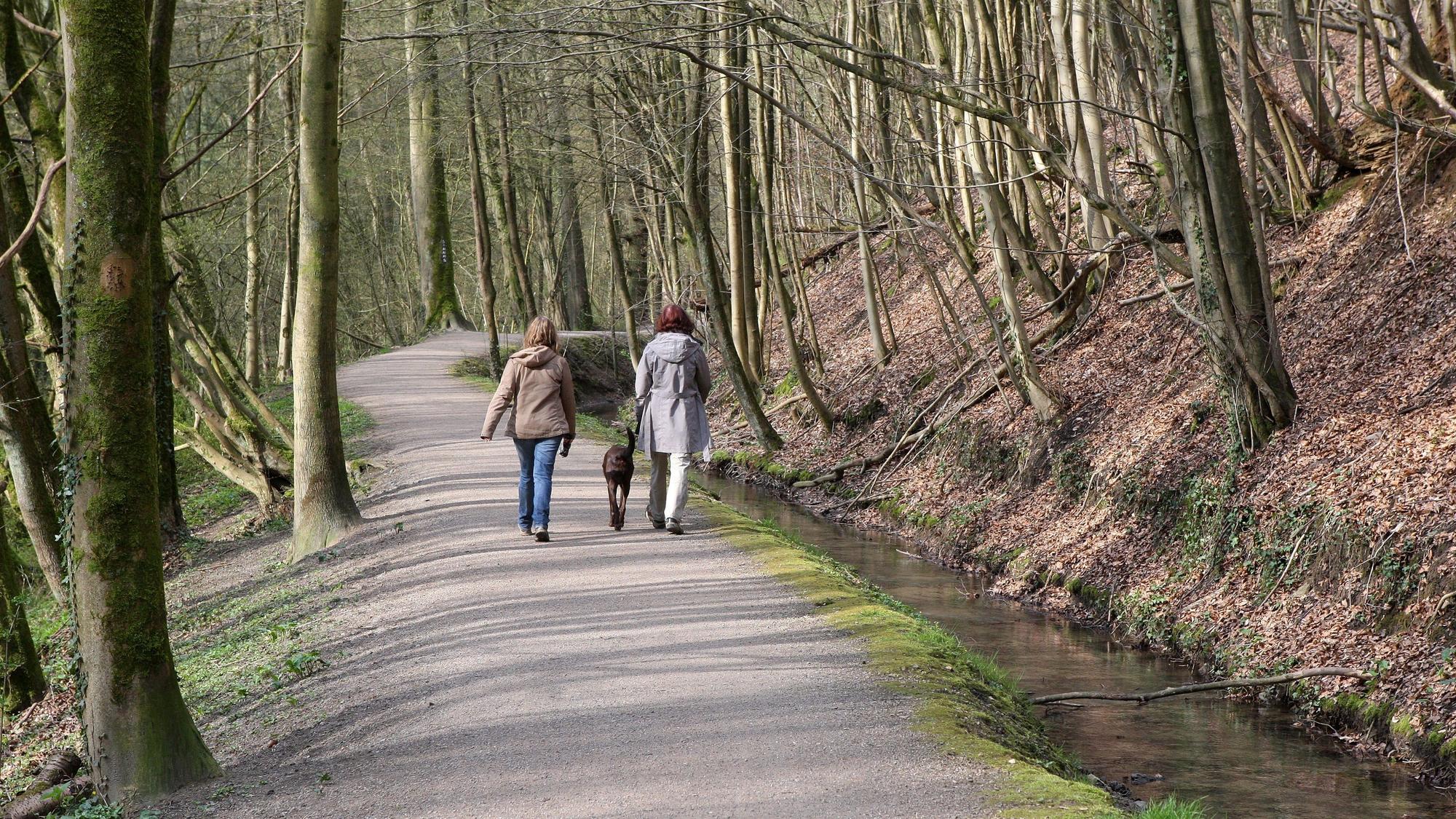 Zwei Frauen gehen mit einem Hund an der Leine auf dem Strundeweg spazieren.