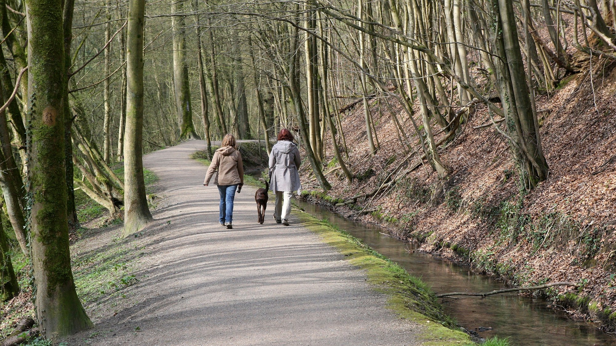 Zwei Frauen gehen mit einem Hund an der Leine auf dem Strundeweg spazieren.