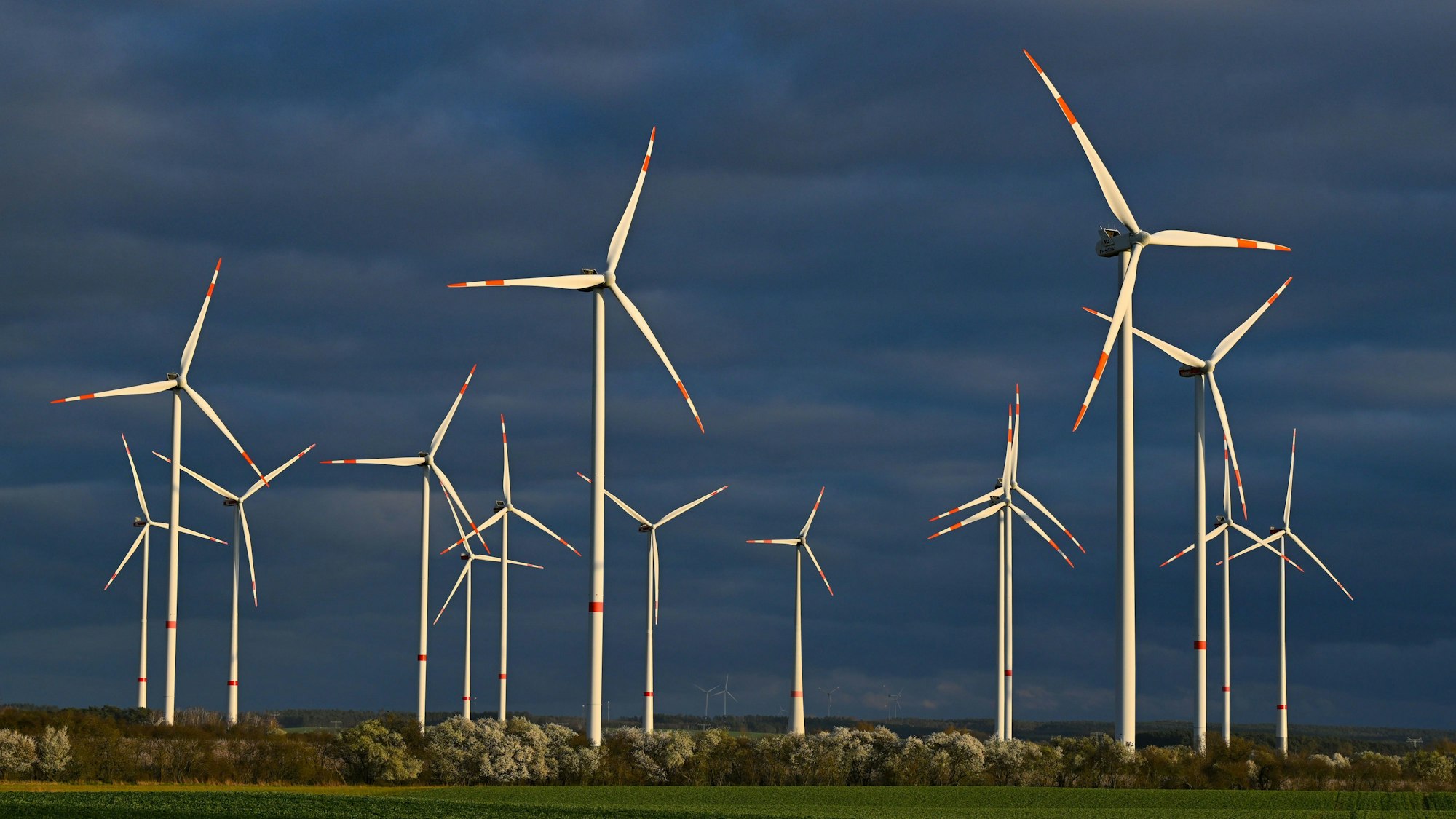 Energiewende auch mitten im Wald: Ginge es nach der AfD, würden keine neuen Windräder mehr errichtet.