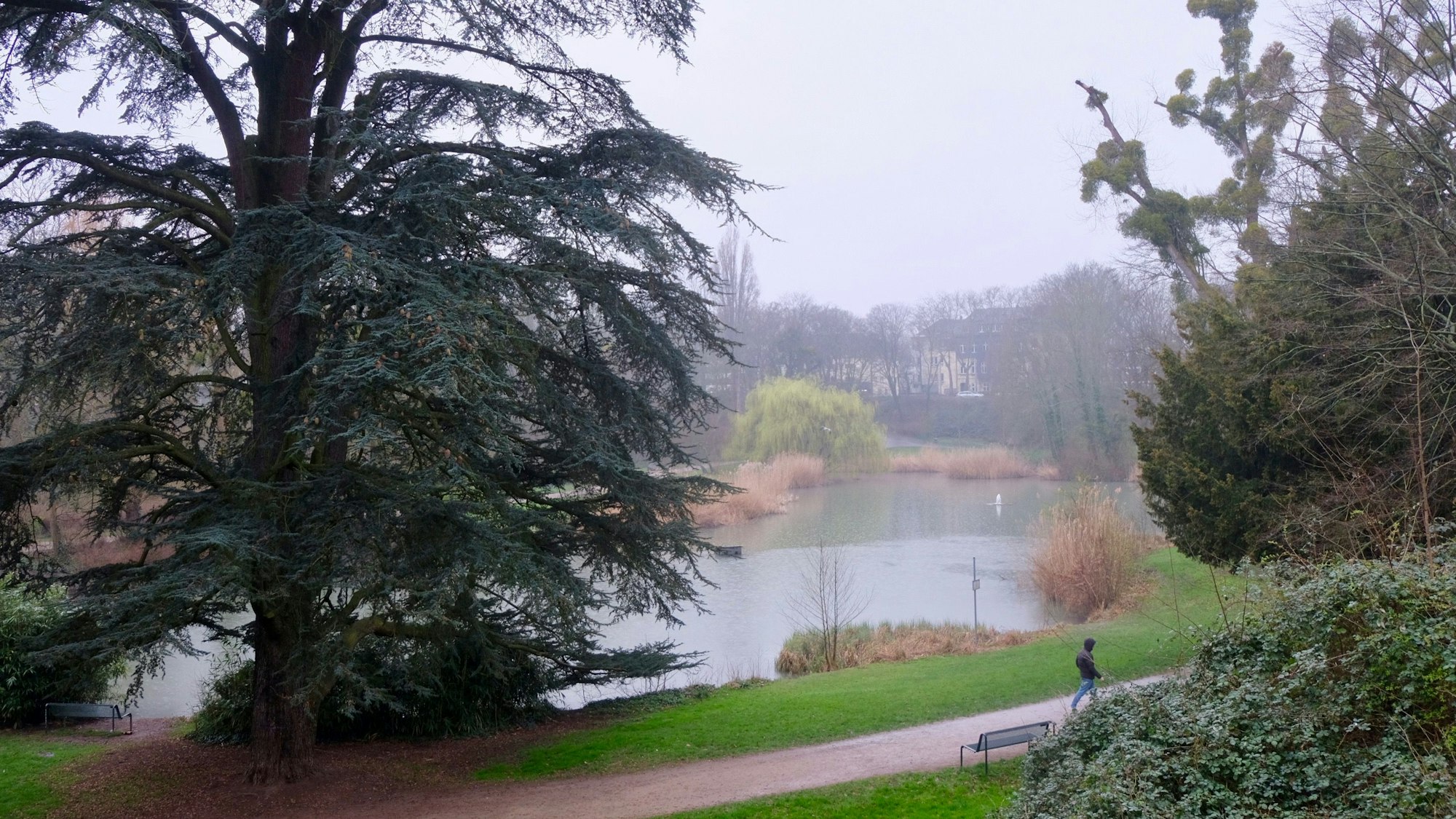 Klettenberg-Weiher