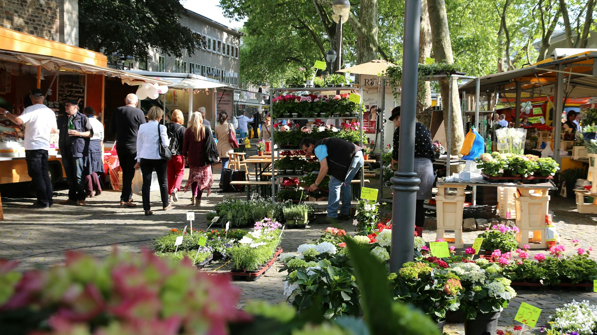 Ein Blumenstand auf dem Wochenmarkt am Apostelnkloster.
