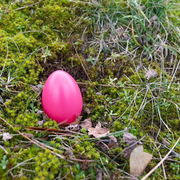Ein einsames Osterei liegt auf dem Waldboden. Symbolbild