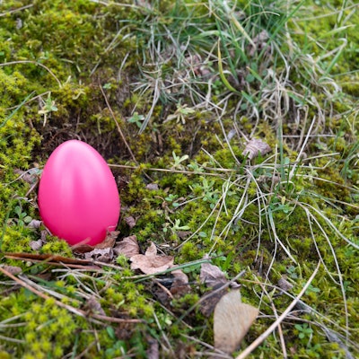 Ein einsames Osterei liegt auf dem Waldboden. Symbolbild