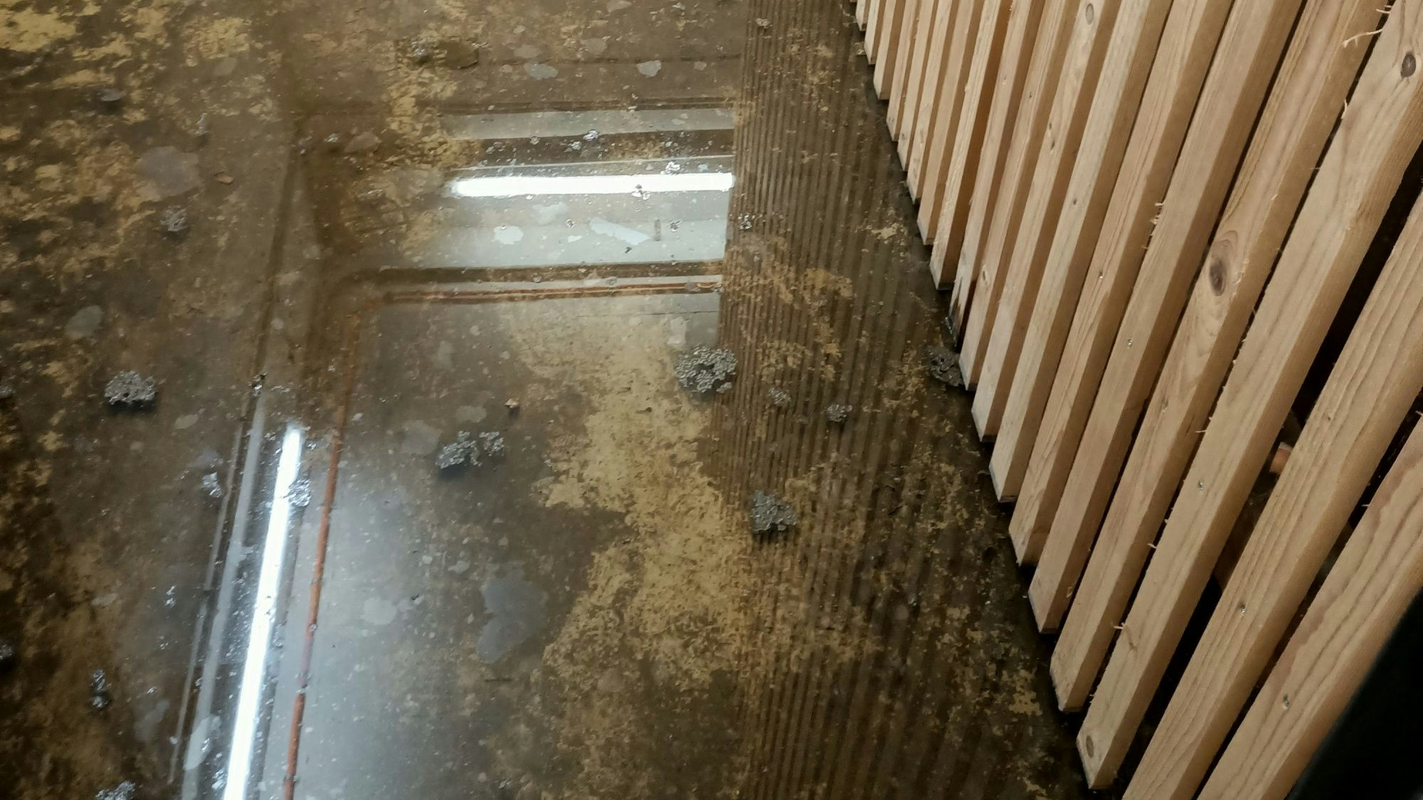 Auf dem Bild sind Pfützen in einem Keller zu sehen.
