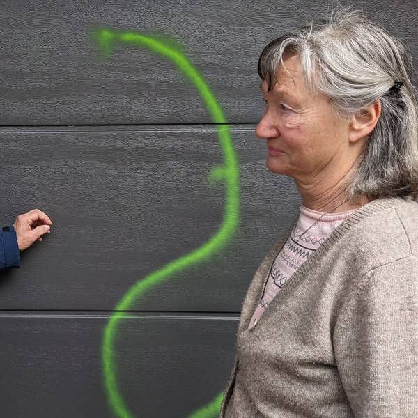 Peter und Rosemarie Leister aus Bad Münstereifel-Mahlberg stehen fassungslos vor ihrem Garagentor, das mit grüner Signalfarbe beschmiert worden ist.
