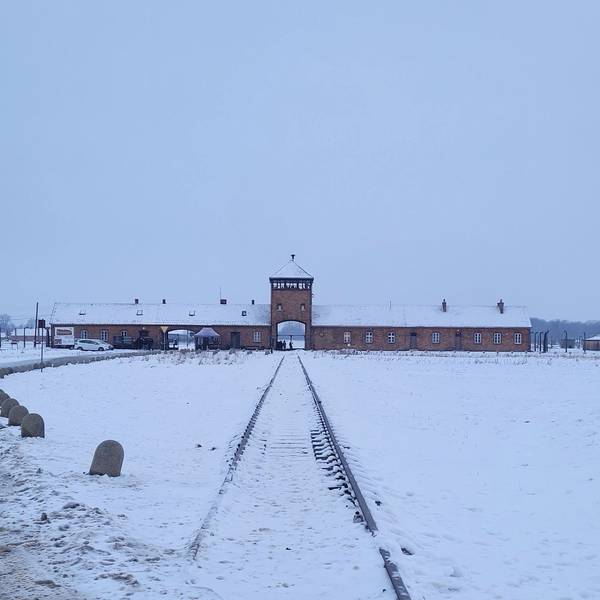 Große Kälte strahlt die KZ-Gedenkstätte Auschwitz aus. Beim Besuch der Rösrather Schülergruppe im Januar verstärkte die winterliche Witterung die Kälte des Orts.