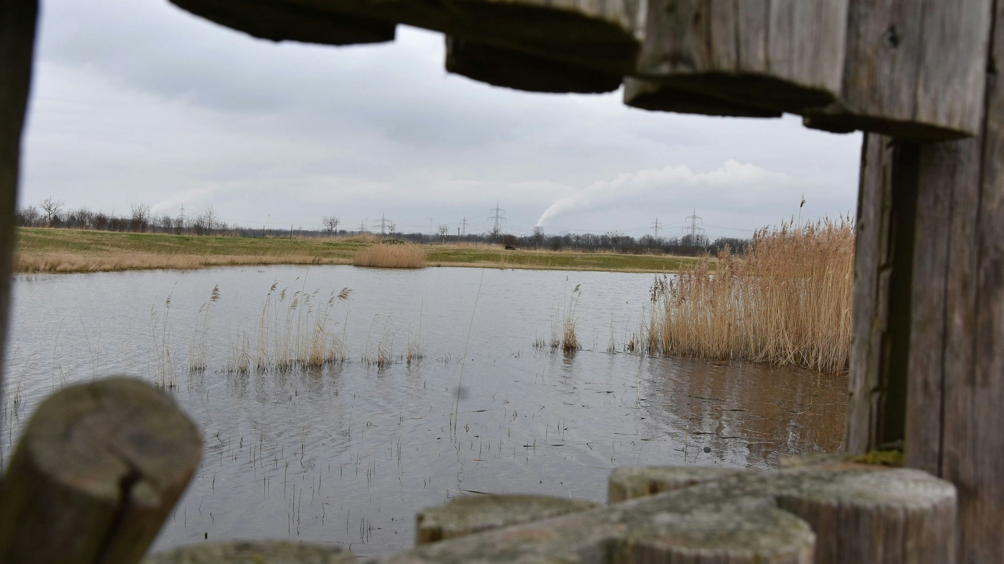 Die Beobachtungspalisade am Watvogelteich ist Teil unserer Rätselwanderung.