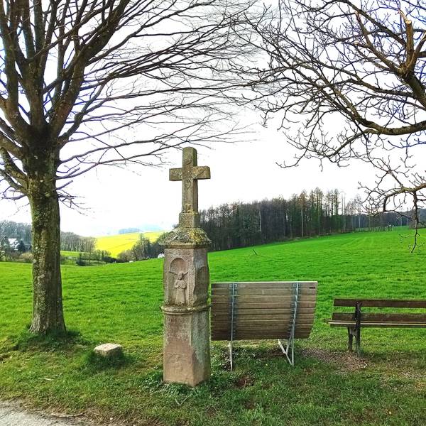 Ein Baum vor oberbergischer Landschaft.
