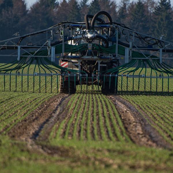 Ein Landwirt fährt Gülle aus.