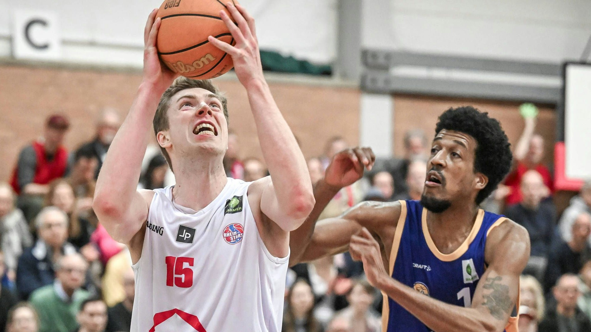 Barmer 2. Basketball Bundesliga ProB: Rheinstars Koeln vs. EN Baskets Schwelm, 23.03.2024 Bjoern Rohwer RheinStars Koeln, 15, Barmer 2. Basketball Bundesliga ProB: Rheinstars Koeln vs. EN Baskets Schwelm am 23.03.2024 im ASV Koeln in Koeln Nordrhein-Westfalen *** Barmer 2 Basketball Bundesliga ProB Rheinstars Koeln vs EN Baskets Schwelm, 23 03 2024 Bjoern Rohwer RheinStars Koeln, 15 , Barmer 2 Basketball Bundesliga ProB Rheinstars Koeln vs EN Baskets Schwelm on 23 03 2024 at ASV Koeln in Koeln North Rhine-Westphalia Copyright: xBEAUTIFULxSPORTS/Mueller-Laschetx