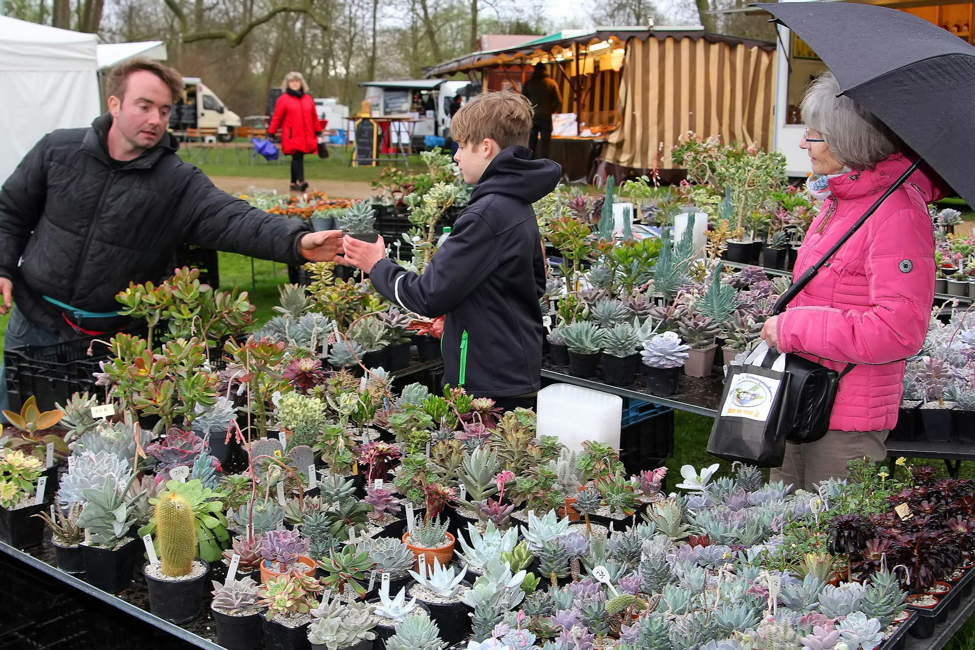 Kakteen und Sukkulenten in unterschiedlichsten Formen und Farben.