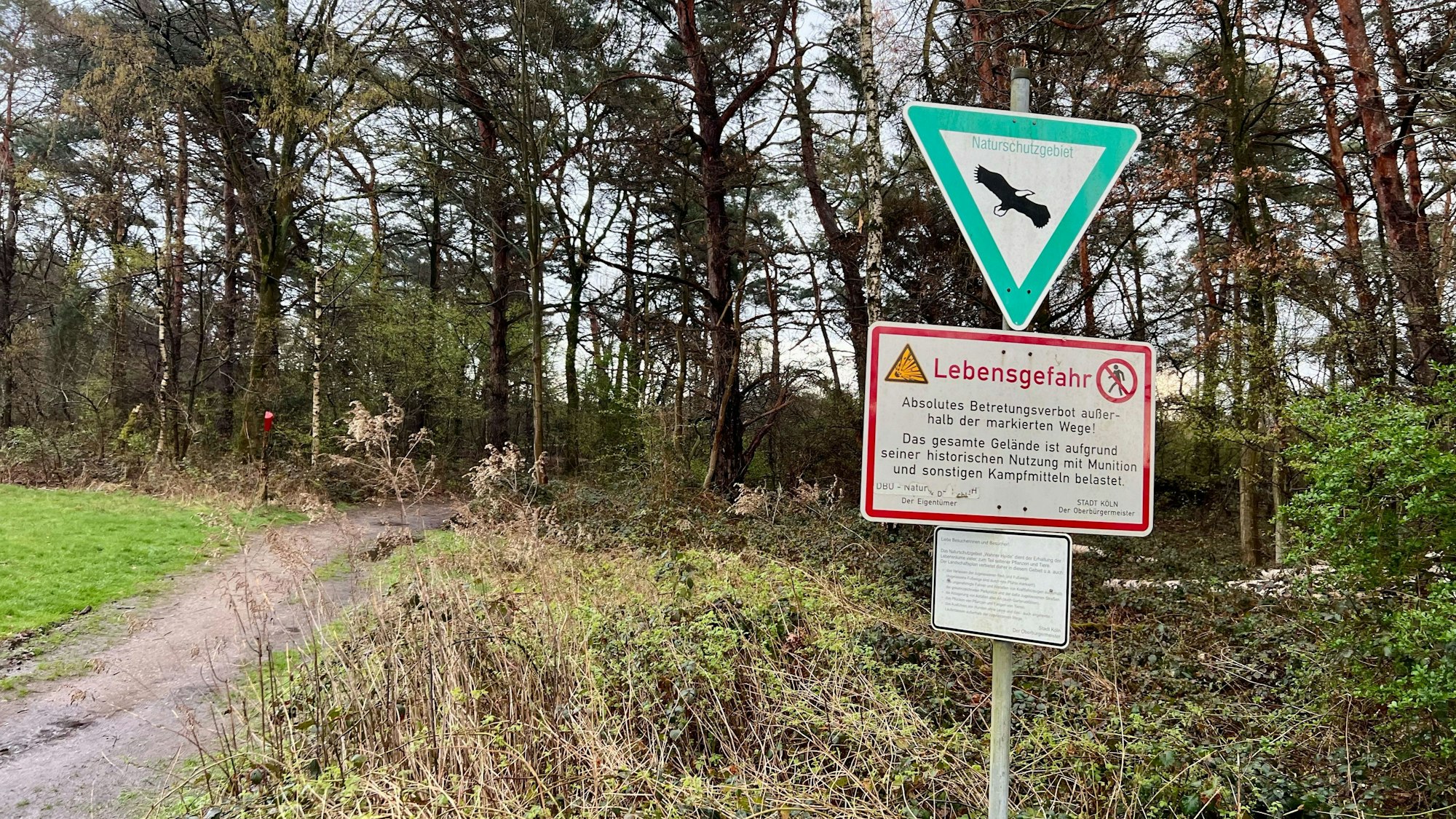 Ein Schild mit dem Hinweis „Lebensgefahr“ in der Wahner Heide weist darauf hin, dass Flächen außerhalb der markierten Wege nicht betreten werden dürfen. Im Hintergrund ist ein Wald zu sehen.