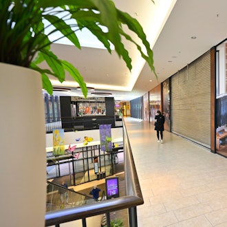 Bunte Folien sind vor leer stehende Geschäfte geklebt.