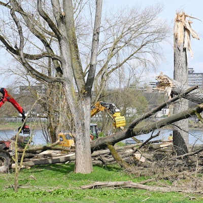 25.03.2024 Köln. In Rodenkirchen werden Sturmschäden beseitigt. Dort waren im Dezember 2023 zahlreiche Bäume umgeknickt. Nun sollen Forstgroßmaschinen aufräumen, die Stadt erwartet Flurschäden. Foto: Alexander Schwaiger