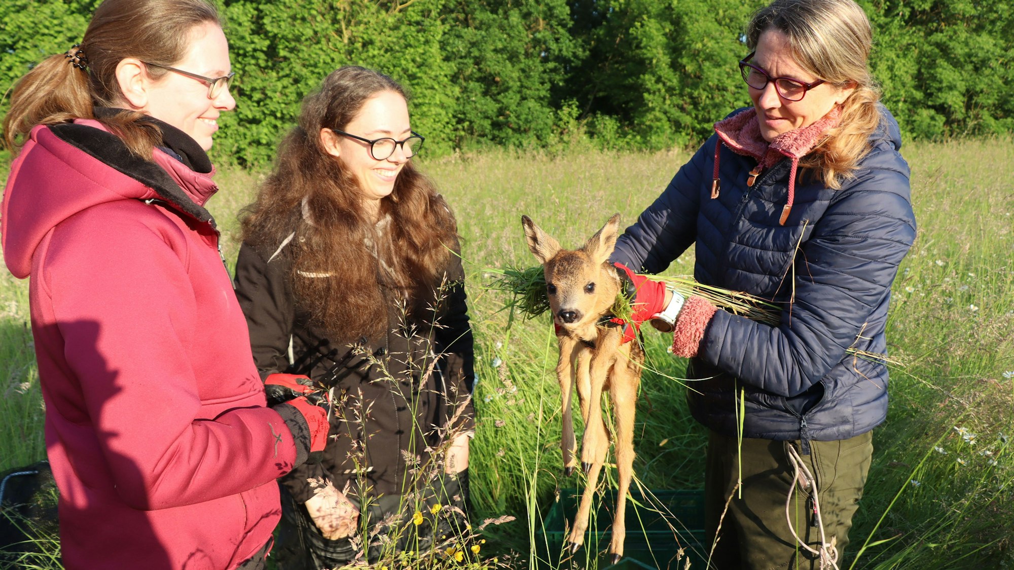 Das Bild zeigt drei Frauen mit einem Rehkitz.