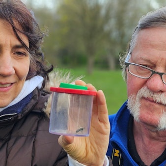 Eine Frau und ein Mann betrachten eine Biene in einer Becherlupe.