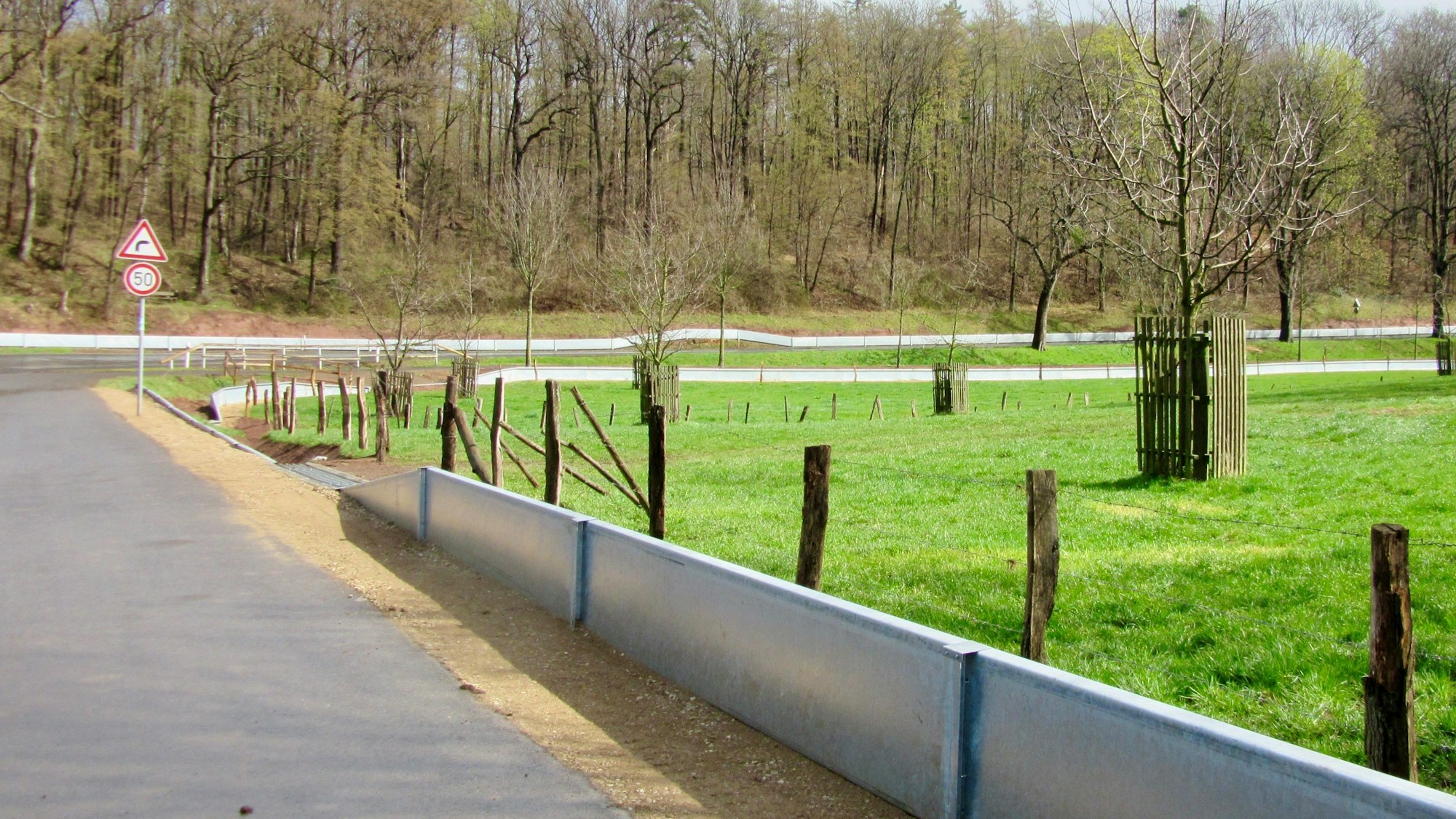 Am Rande der Straße befindet sich rechts vom Radweg die Leiteinrichtung. Dahinter ist eine Wiese mit Bäumen.