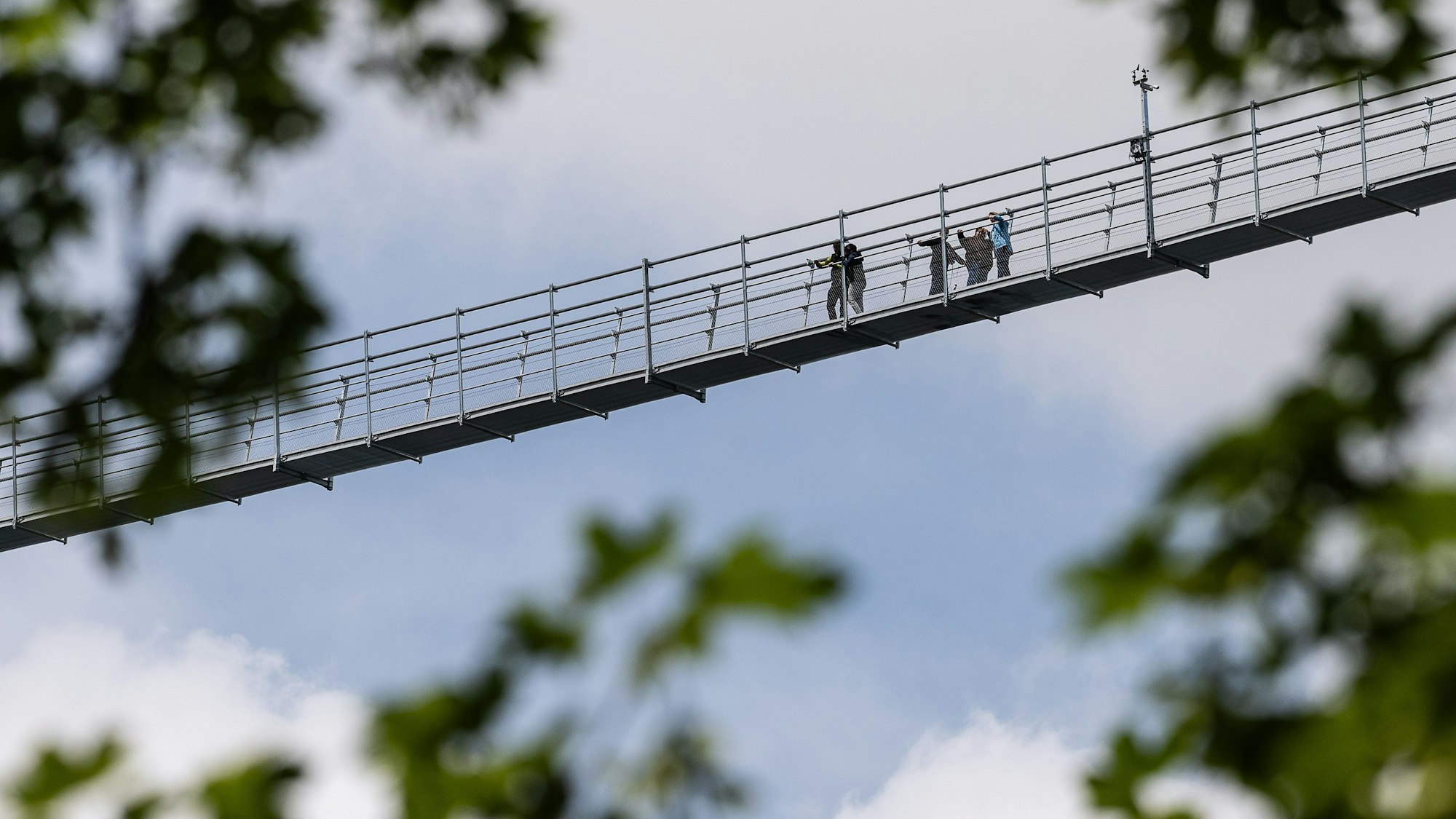 Mehr als 600 Meter lang und 100 Meter hoch ist der Skywalk in Willingen