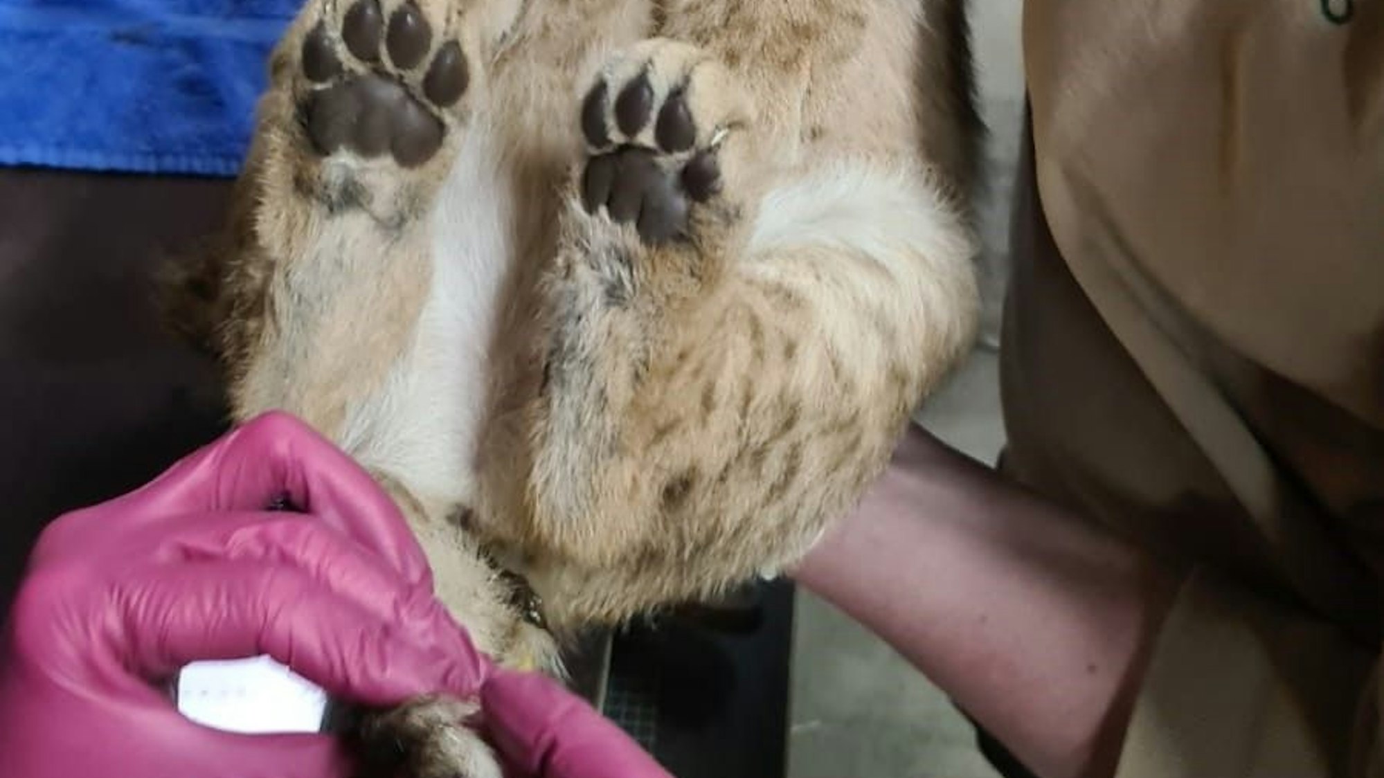 Es wurde geschaut, ob alles ok ist. Von Kopf bis zu den Füßen.