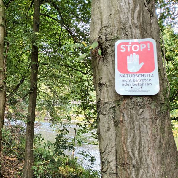 Ein Schild Stop Naturschutz in Lohmar-Donrath an der Agger