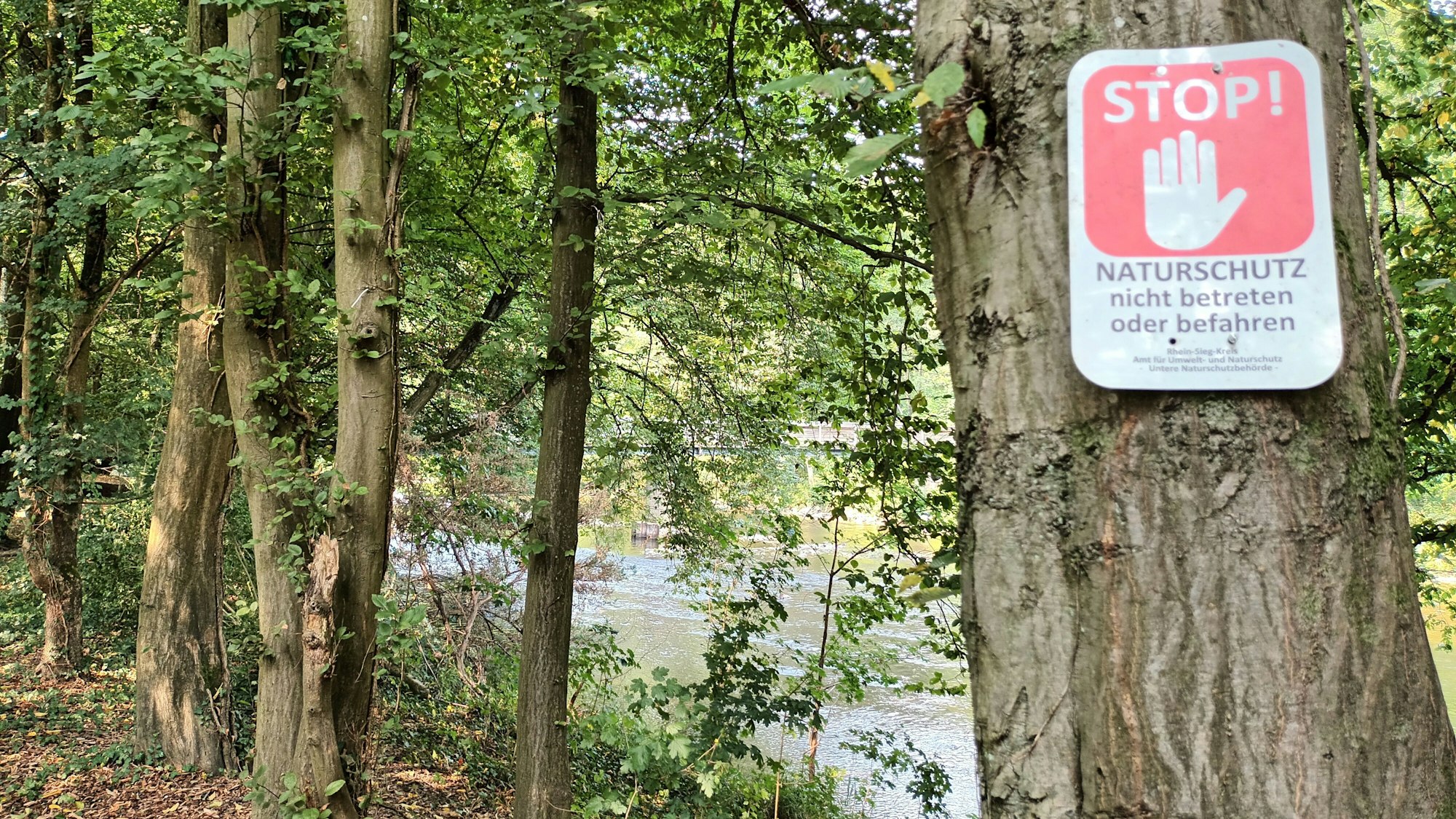 Ein Schild Stop Naturschutz in Lohmar-Donrath an der Agger