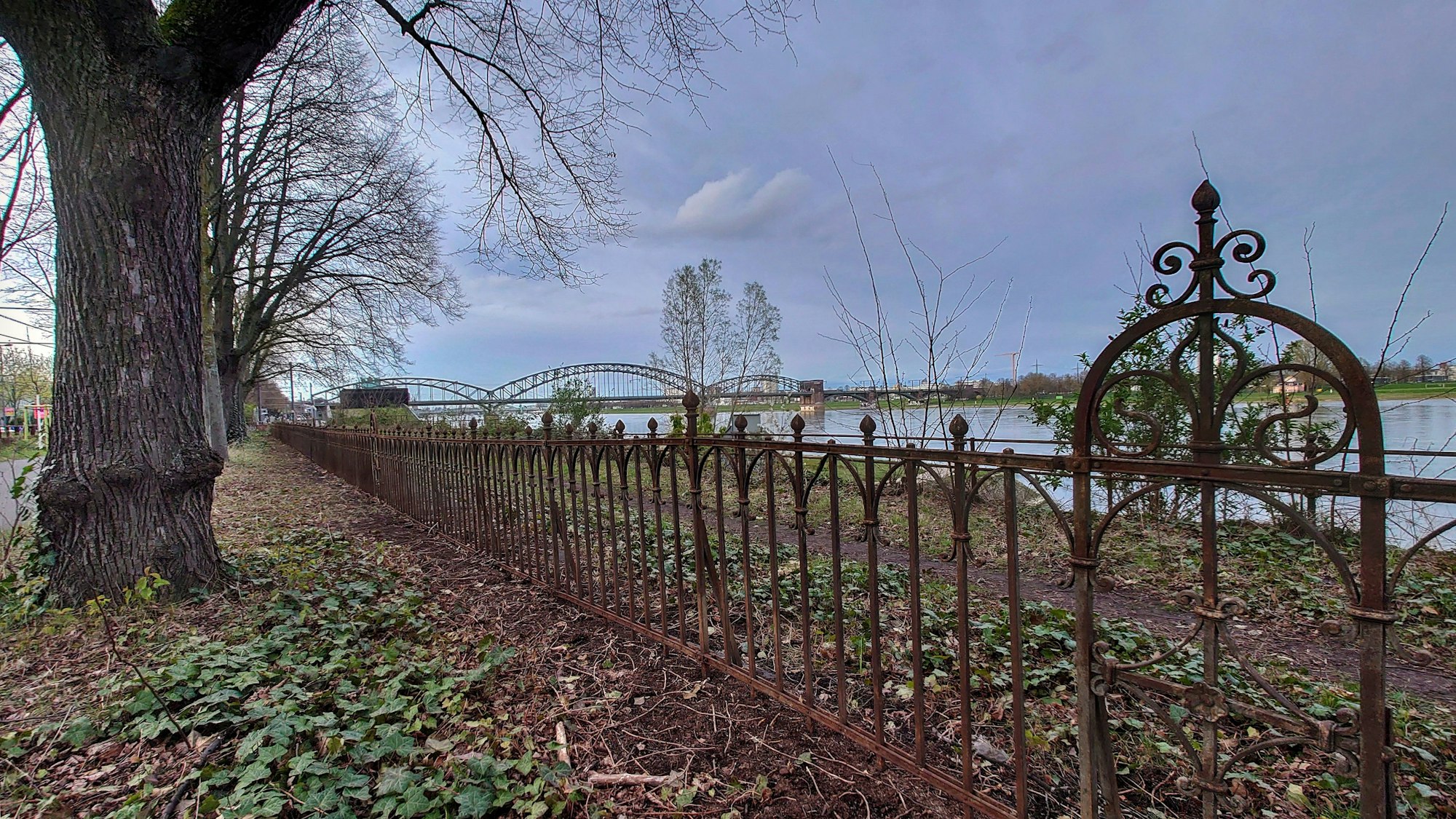 Das Bild zeigt den historischen Zaun am Bayenthaler Rheinufer.