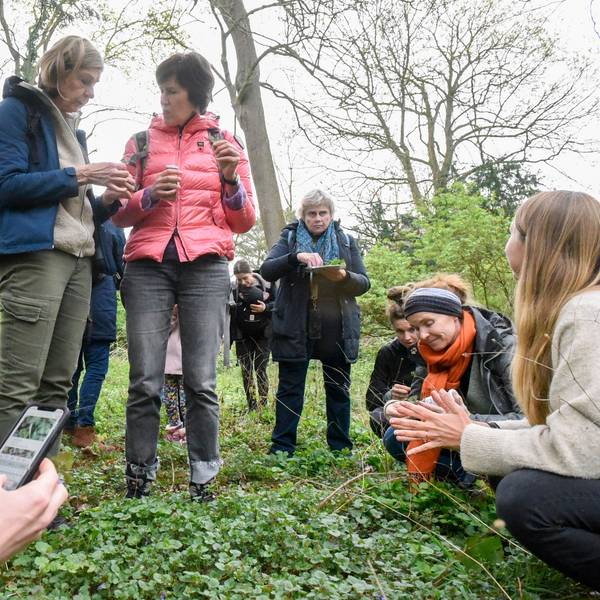Zu sehen sind Menschen in einem Park beim Pflücken von Wildkräutern.