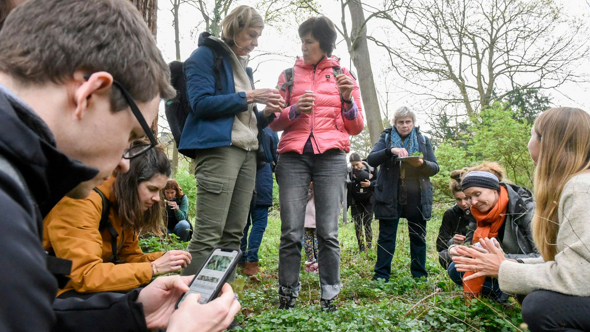 Zu sehen sind Menschen in einem Park beim Pflücken von Wildkräutern.