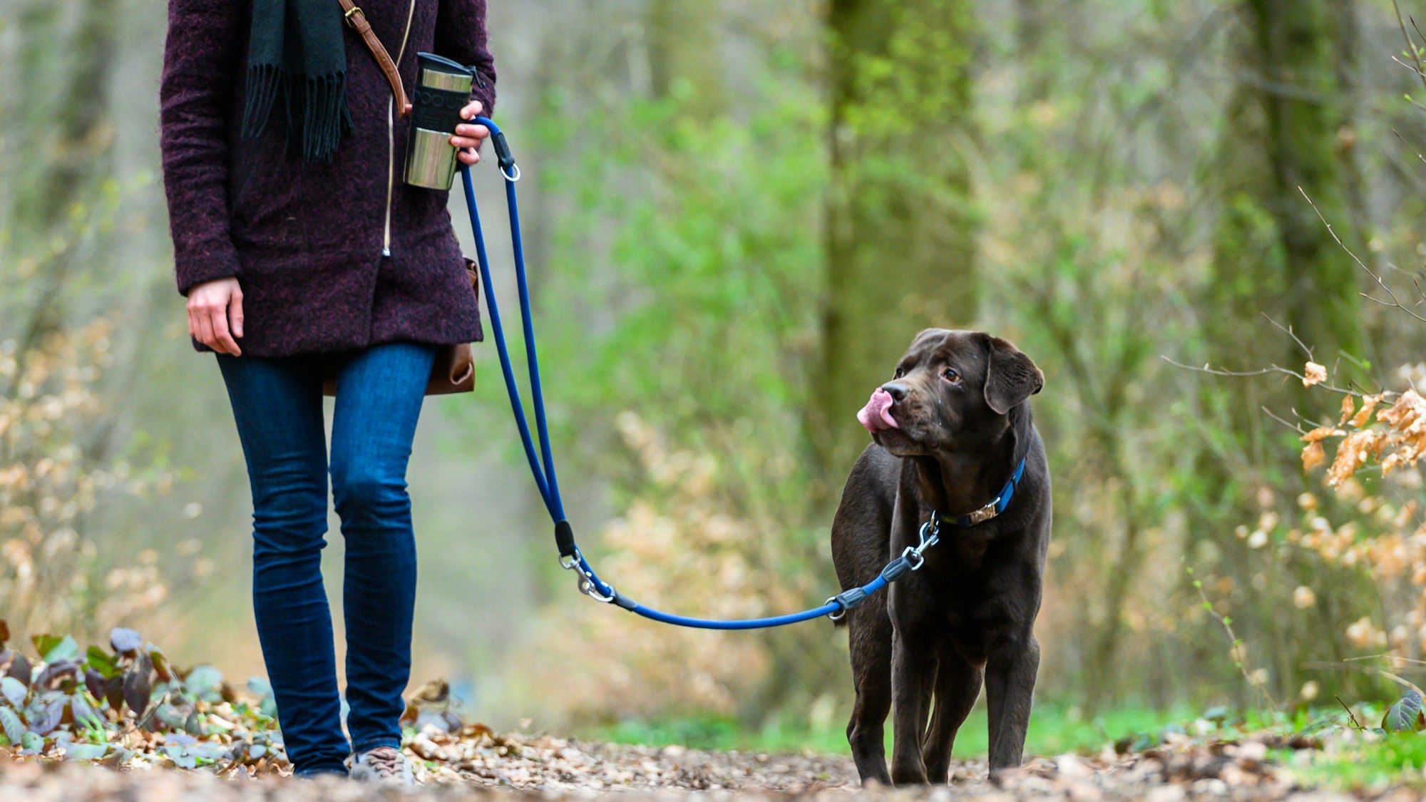 Eine Frau geht mit ihrem Hund spazieren.