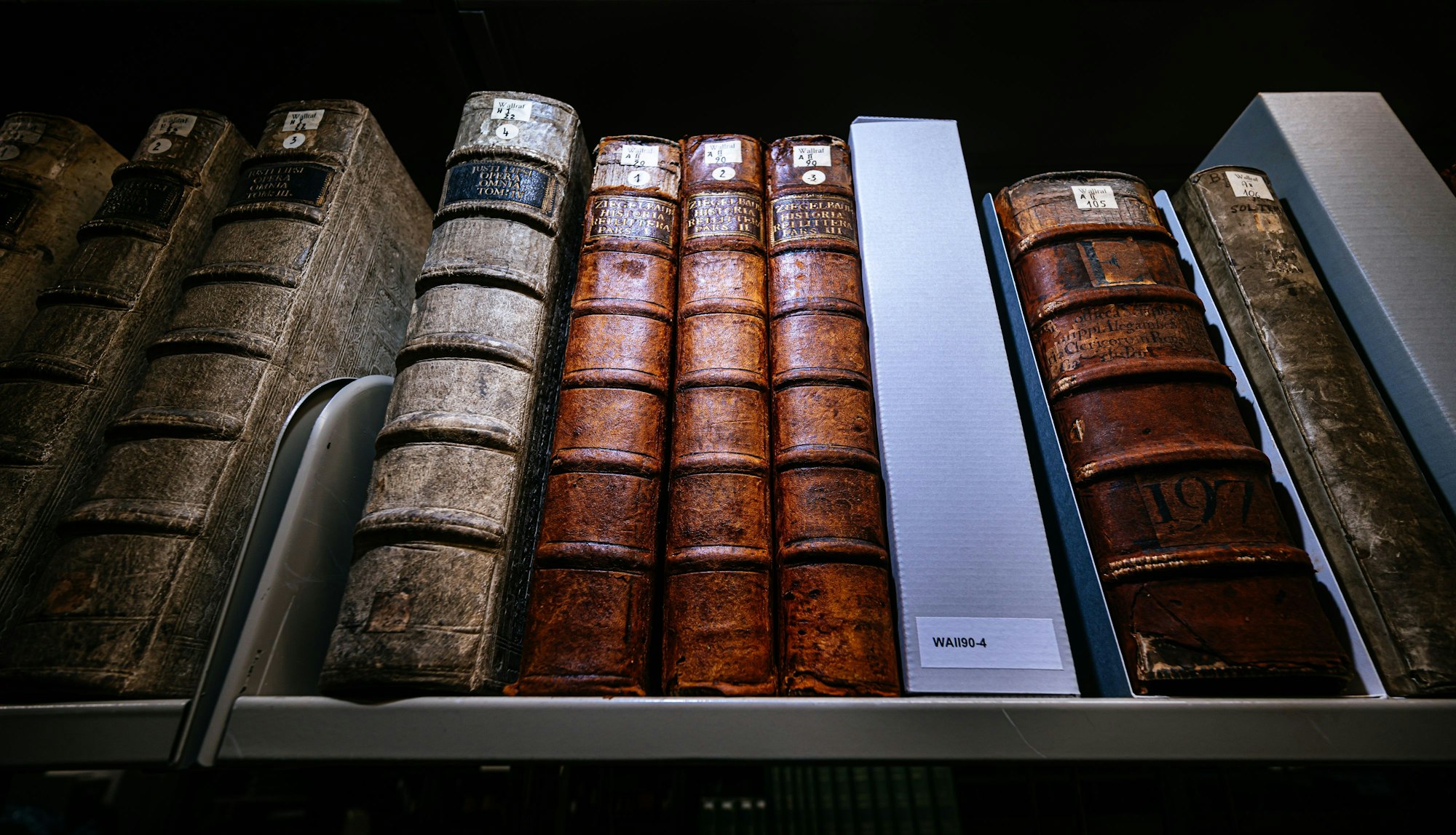 Buchrücken stehen systematisch sortiert neben Boxen aus säurefreiem Karton, in denen restaurierte Werke geschützt sind.