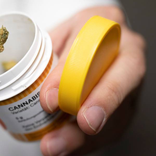 Cannabisblüten zur medizinischen Behandlung.
