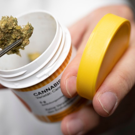 Cannabisblüten zur medizinischen Behandlung.