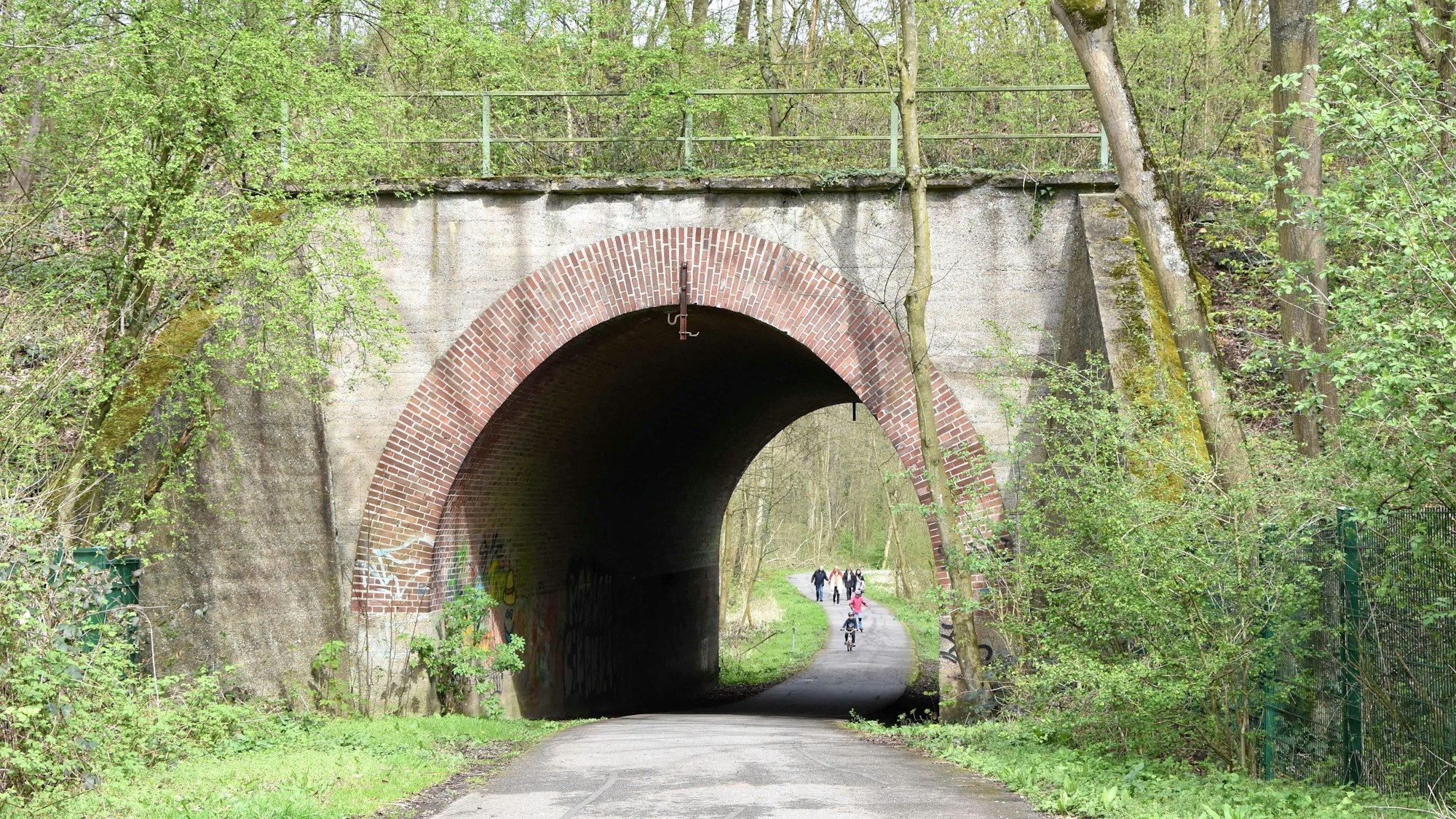 Zu sehen ist eine Brücke in einem Park.