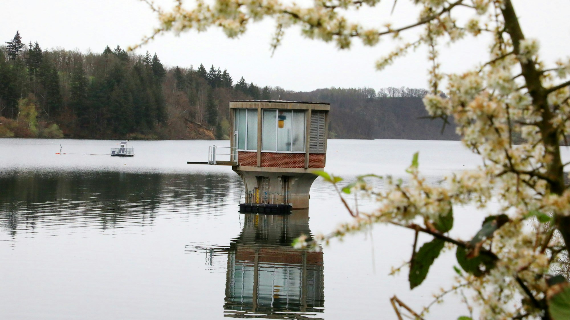 Die Wahnbachtalsperre.