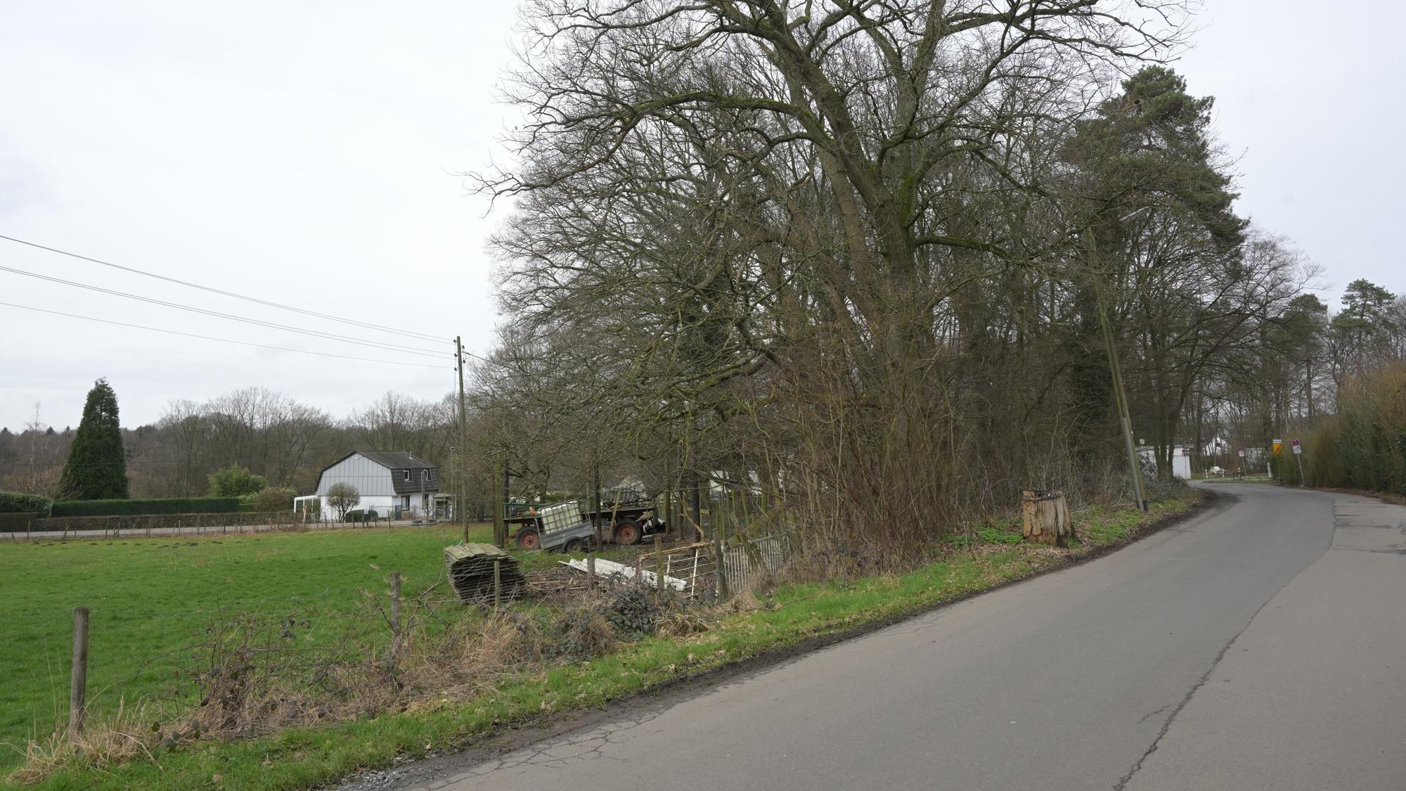 Auf einer Freifläche an der Straße Kammerbroich in Rösrath sollen Container für 72 Flüchtlinge aufgestellt werden.