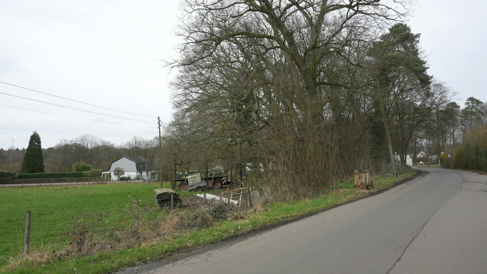 Auf einer Freifläche an der Straße Kammerbroich in Rösrath sollen Container für 72 Flüchtlinge aufgestellt werden.