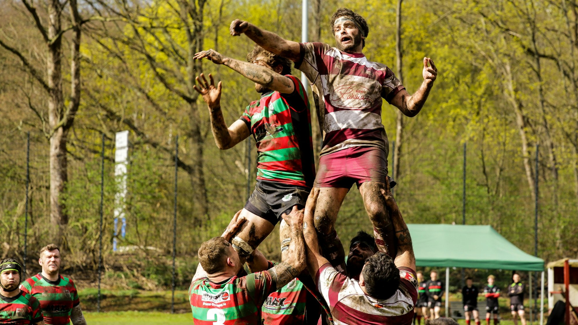23.03.2024, Köln: Rugby Bundesliga Spiel RSV Köln ( rot-weisse Trikots)vs. RK Heusenstamm ( gtün-rote Trikots). Foto:Dirk Borm