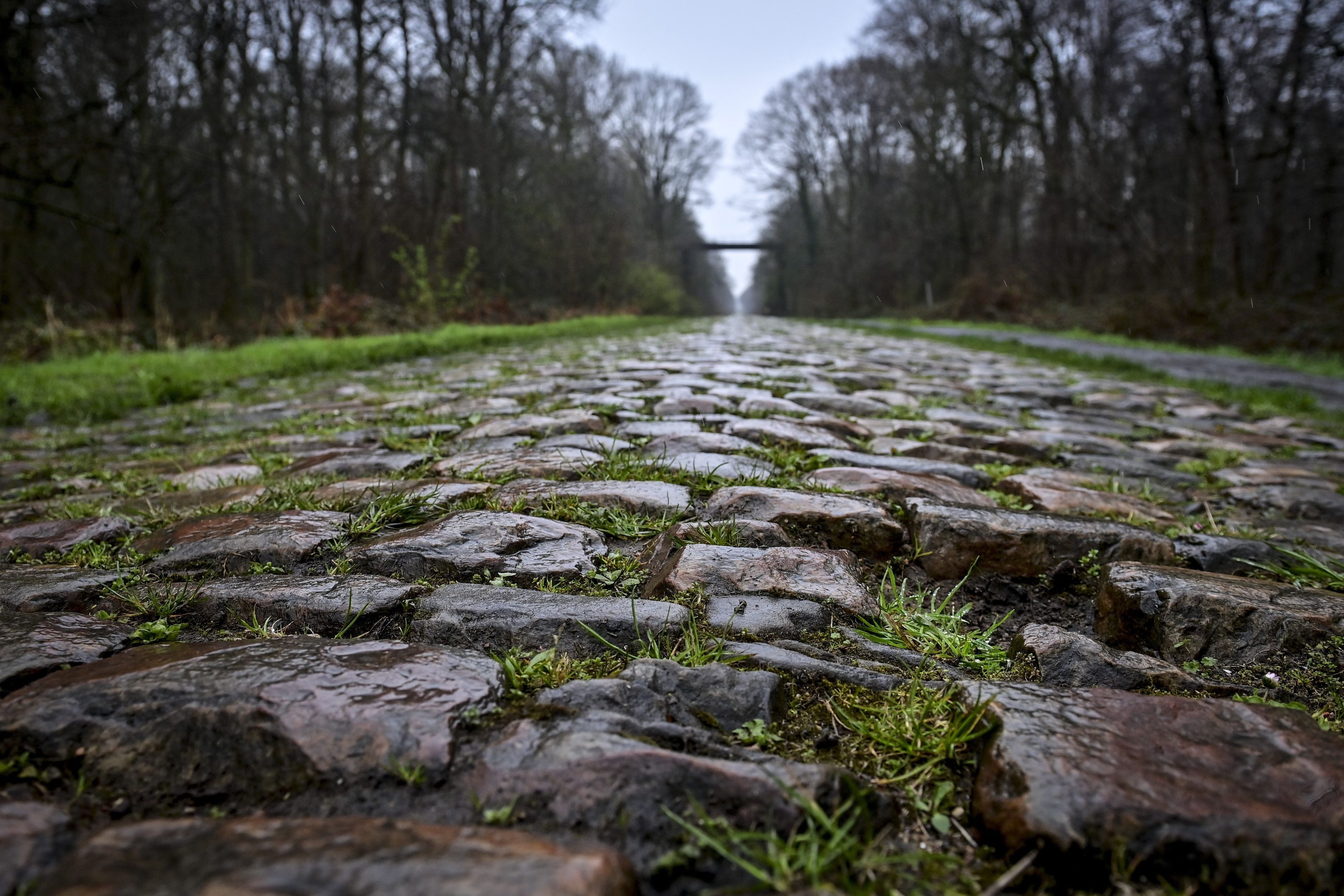 Ein mit Kopfstein gepflasterter Waldweg, die sogenannte Schneise von Arenberg, glänzt im Regen während der Erkundung der Strecke vor dem diesjährigen Radrennen Paris-Roubaix.
