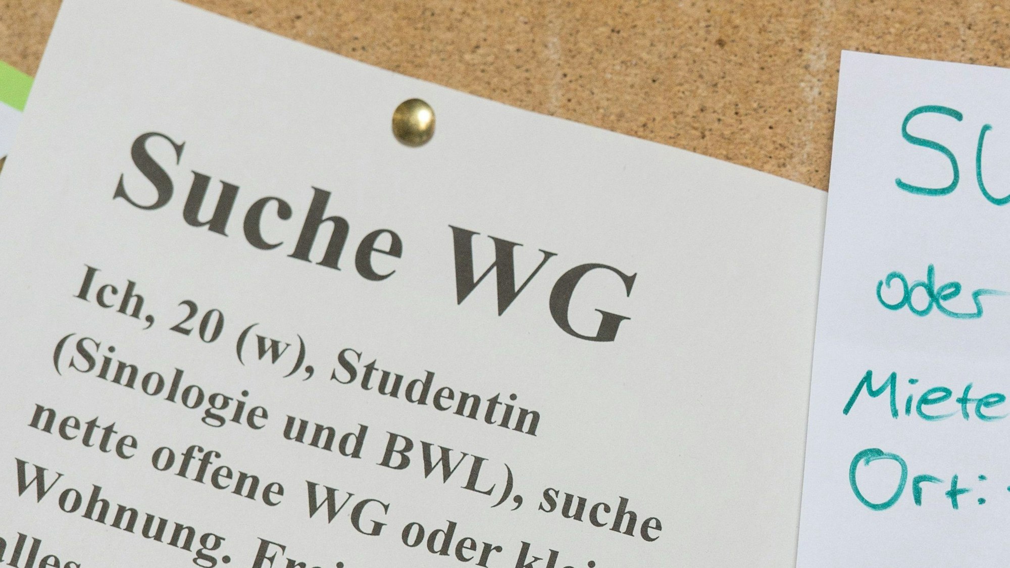 Studentinnen suchen mit Zetteln an einem Schwarzen Brett eine Wohnung.